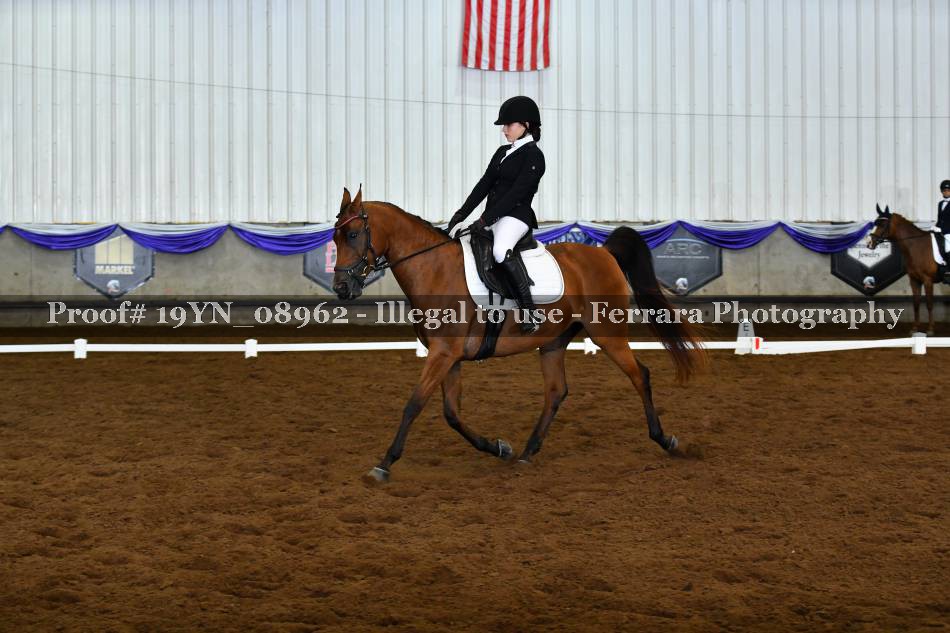 Proof 19YN_08962