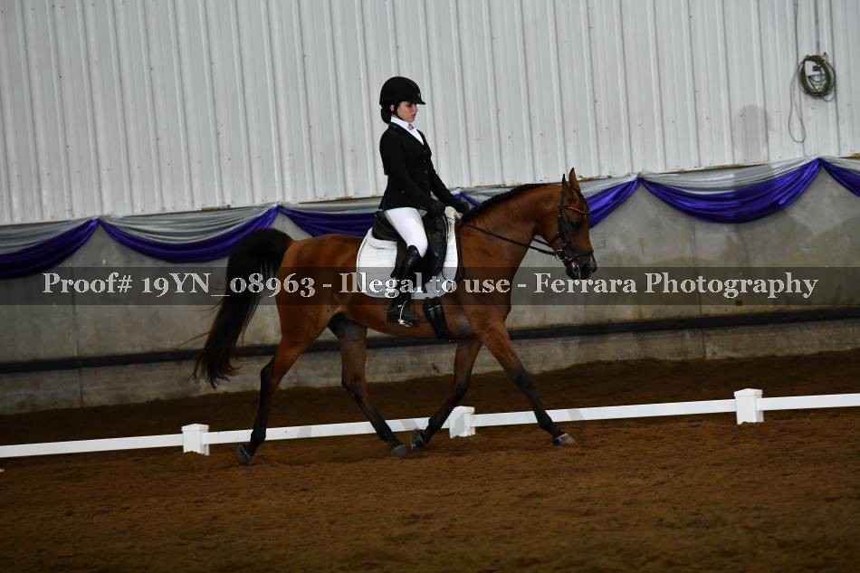 Proof 19YN_08963