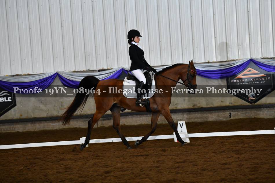 Proof 19YN_08964