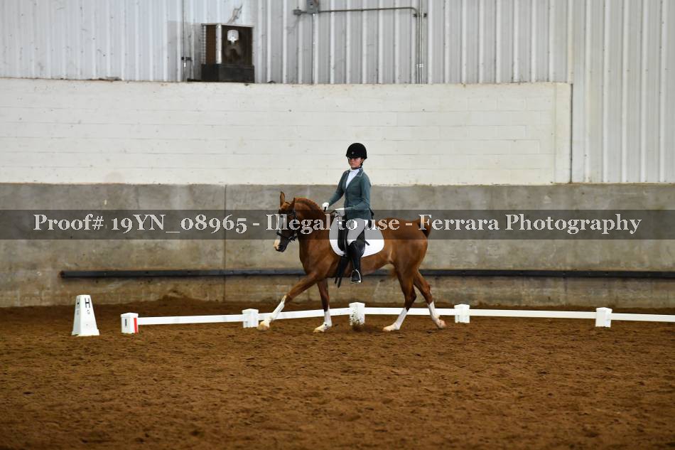 Proof 19YN_08965