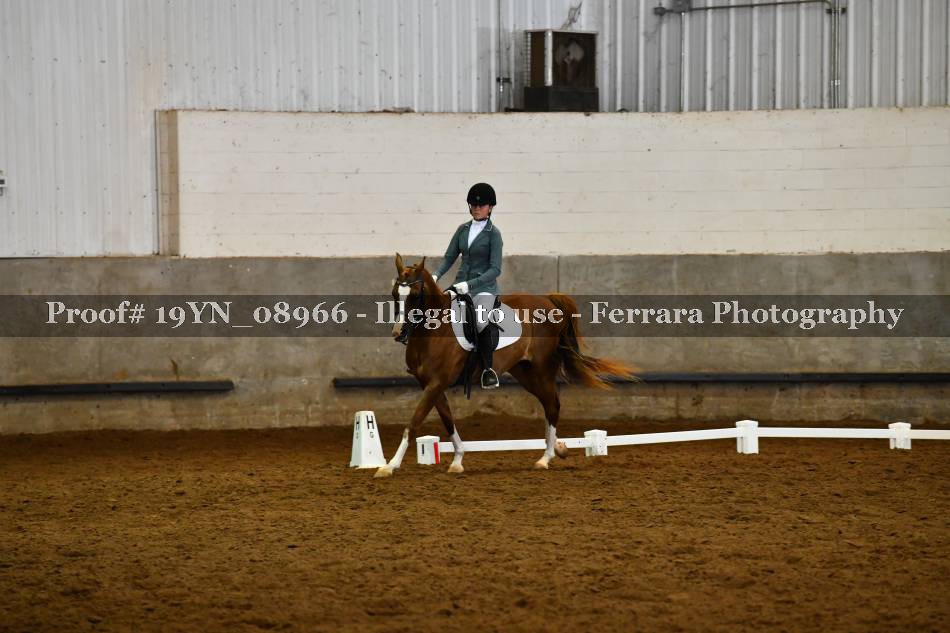 Proof 19YN_08966