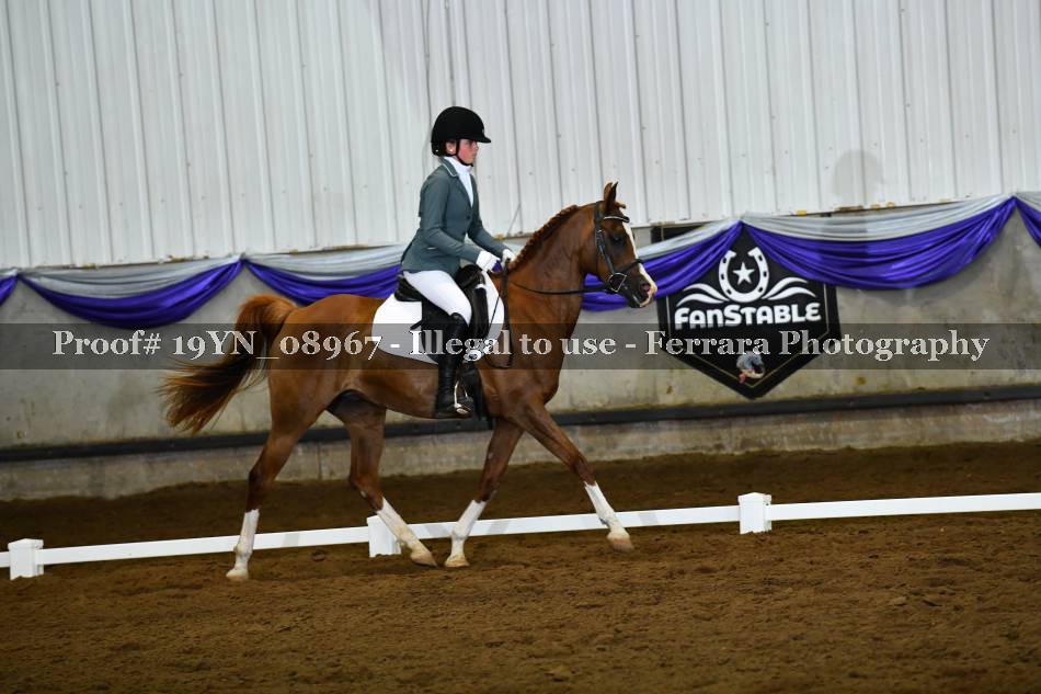 Proof 19YN_08967