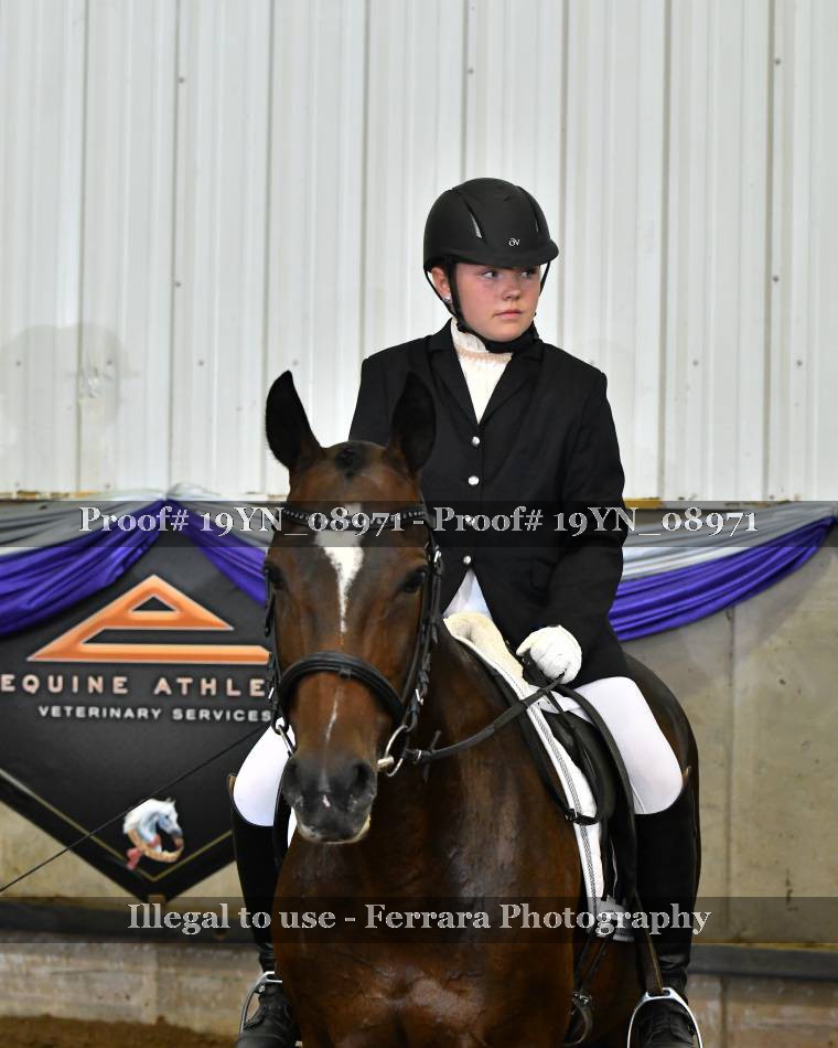 Proof 19YN_08971
