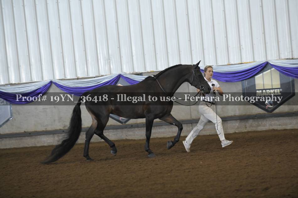 Proof 19YN_36418