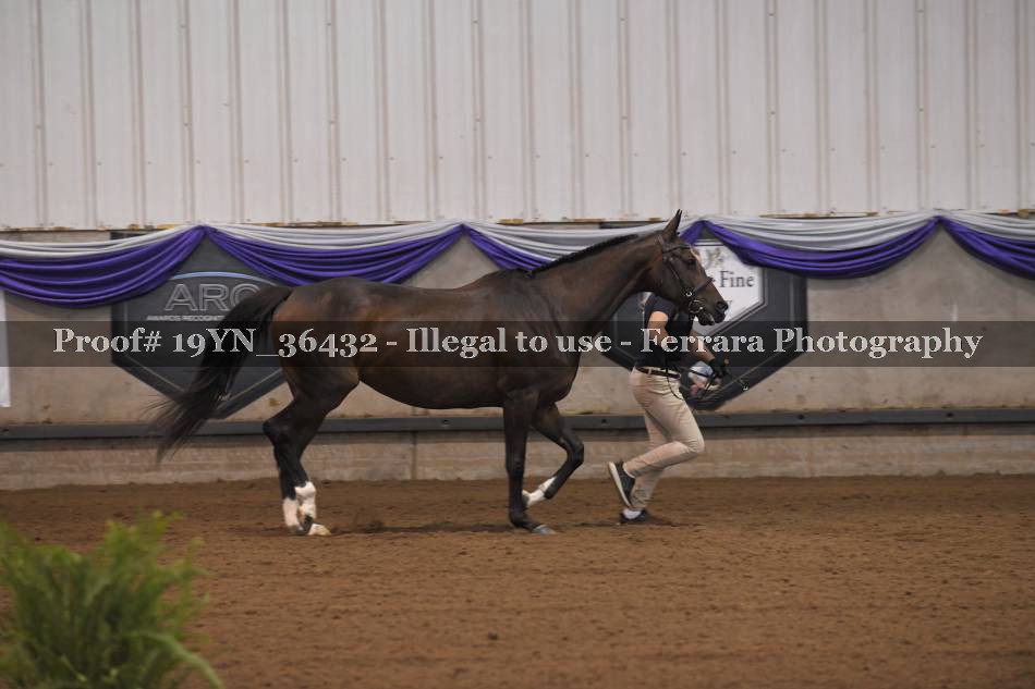 Proof 19YN_36432