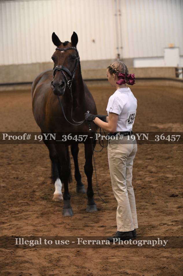 Proof 19YN_36457