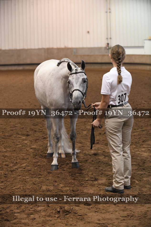 Proof 19YN_36472