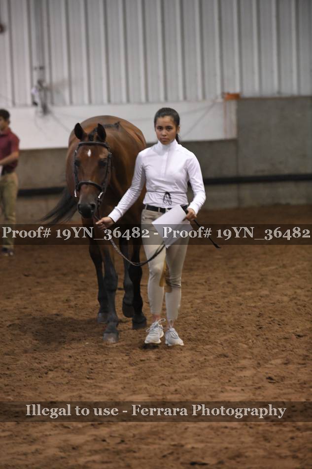 Proof 19YN_36482