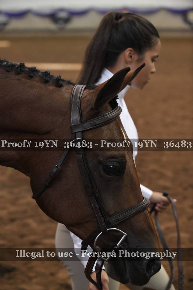 Proof 19YN_36483
