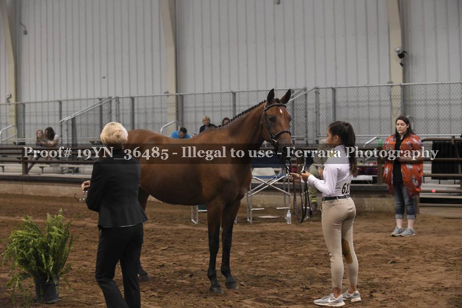 Proof 19YN_36485