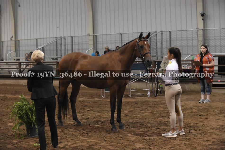 Proof 19YN_36486