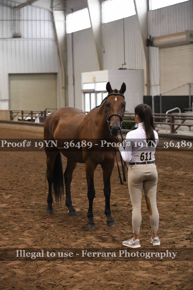 Proof 19YN_36489
