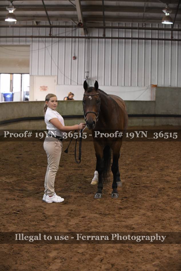Proof 19YN_36515