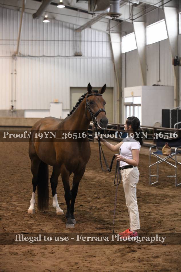 Proof 19YN_36516