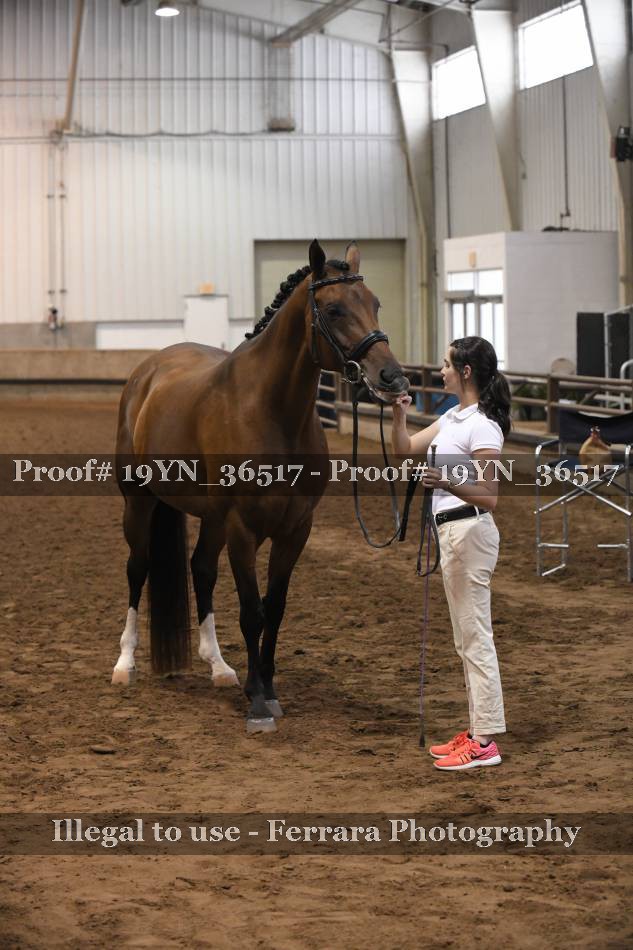 Proof 19YN_36517