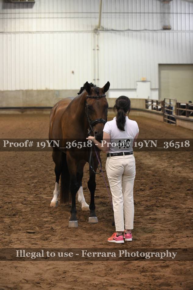 Proof 19YN_36518