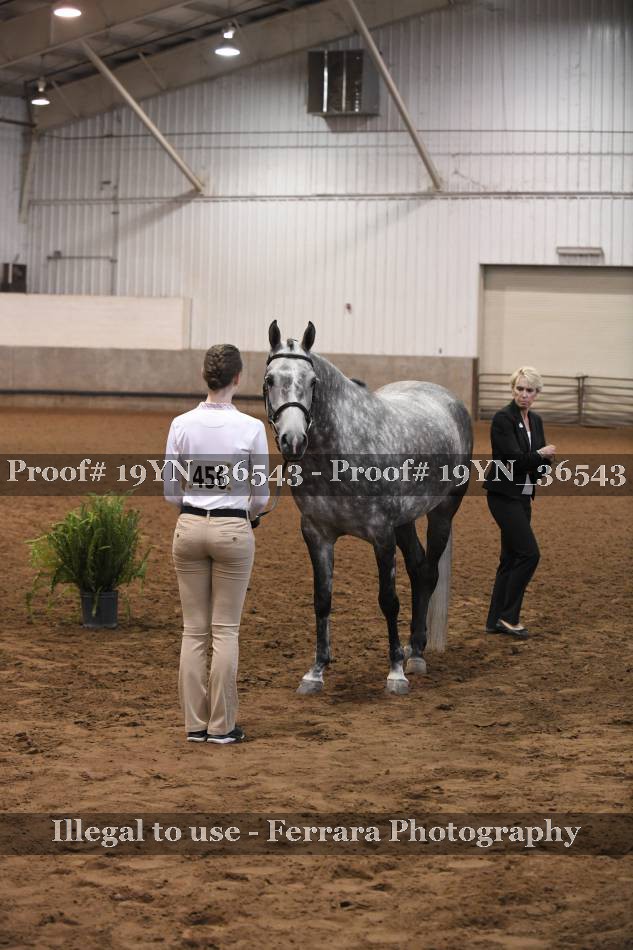 Proof 19YN_36543