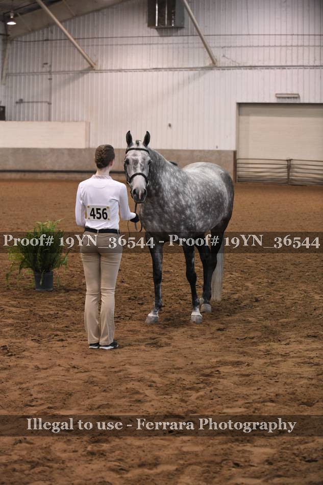 Proof 19YN_36544