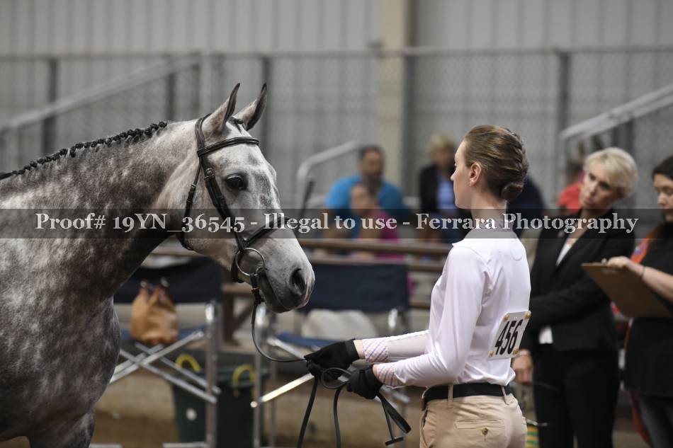 Proof 19YN_36545