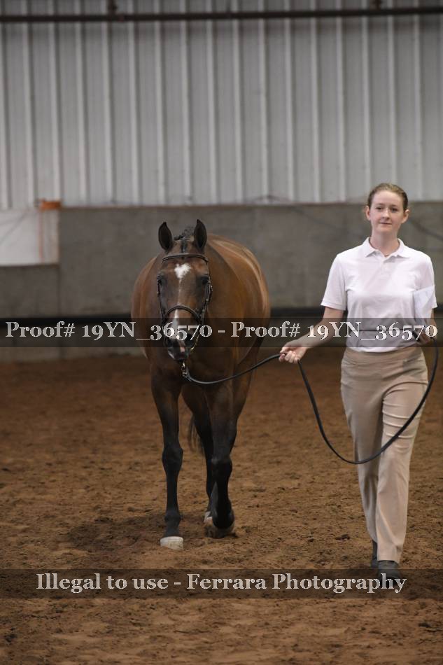 Proof 19YN_36570