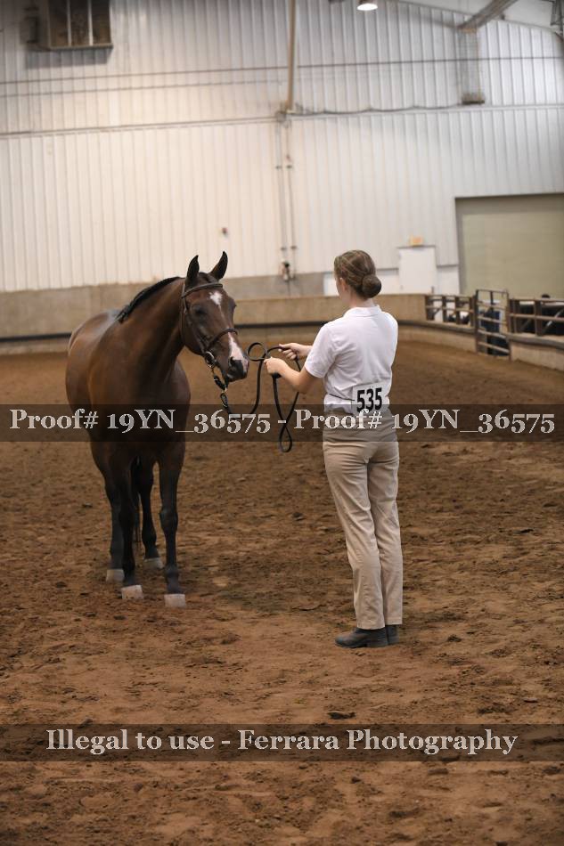 Proof 19YN_36575