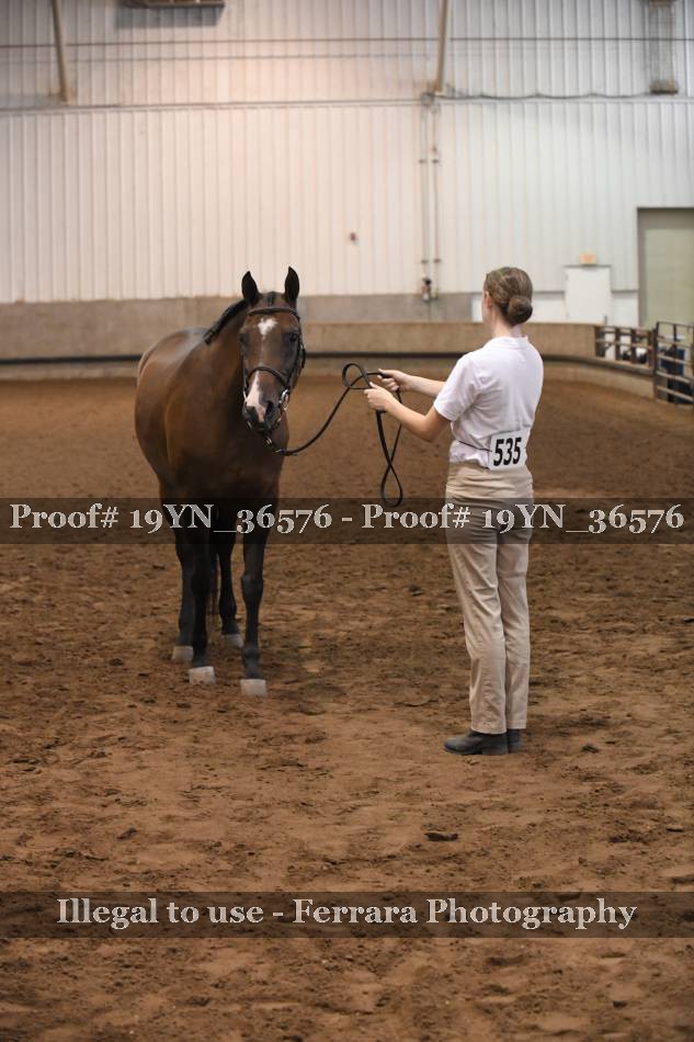 Proof 19YN_36576