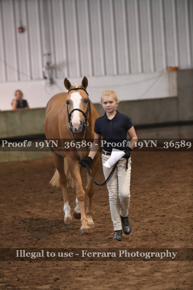 Proof 19YN_36589