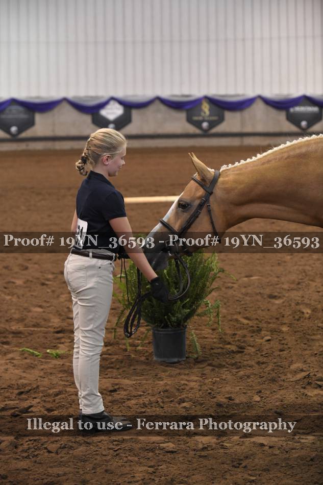 Proof 19YN_36593