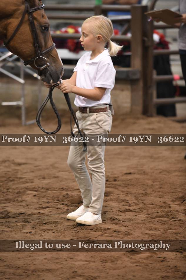 Proof 19YN_36622