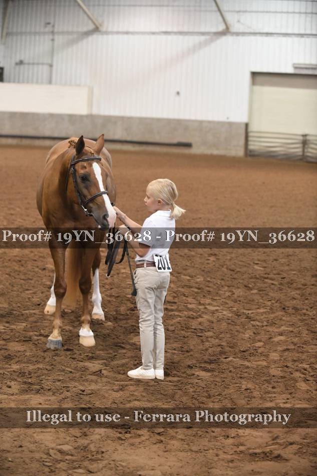 Proof 19YN_36628