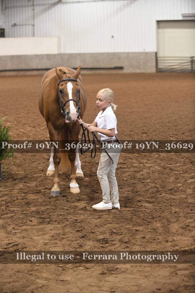 Proof 19YN_36629