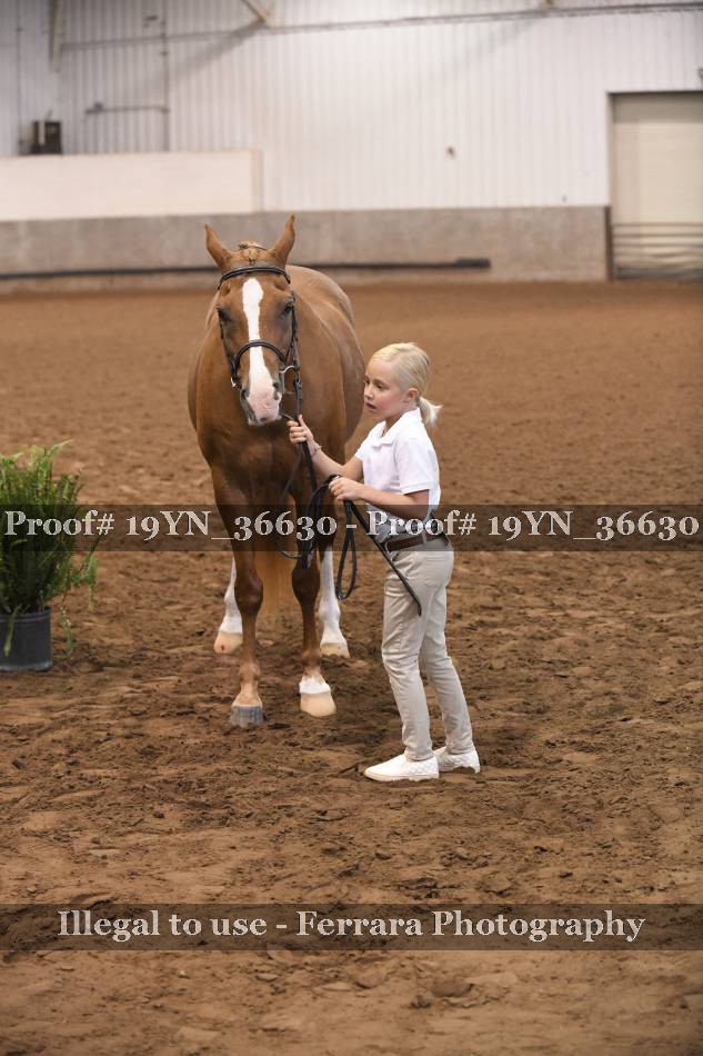 Proof 19YN_36630