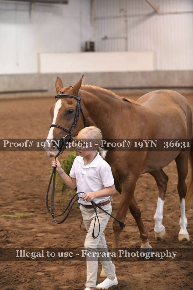 Proof 19YN_36631
