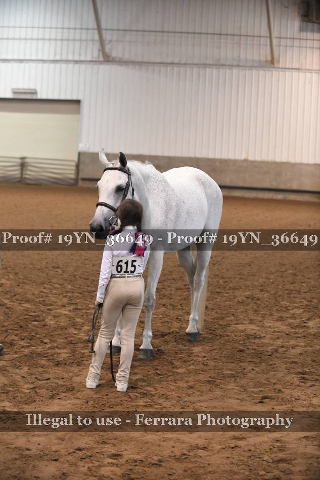 Proof 19YN_36649