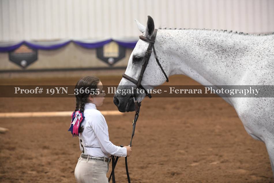 Proof 19YN_36655