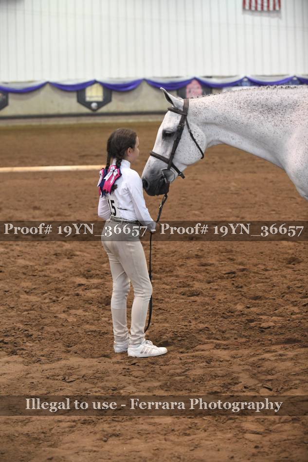 Proof 19YN_36657
