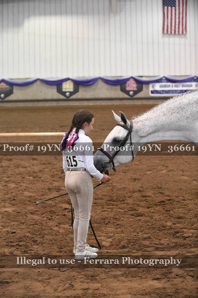 Proof 19YN_36661
