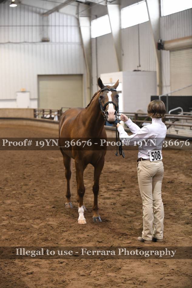 Proof 19YN_36676