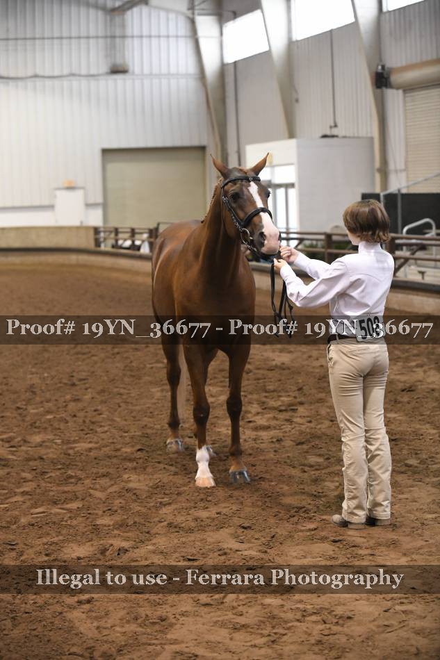 Proof 19YN_36677