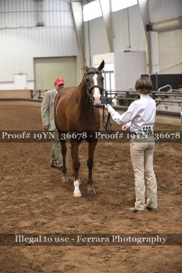 Proof 19YN_36678