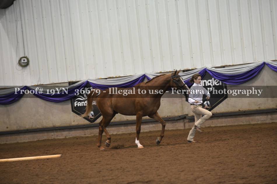 Proof 19YN_36679