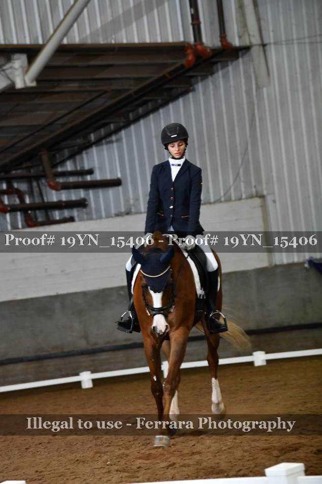 Proof 19YN_15406