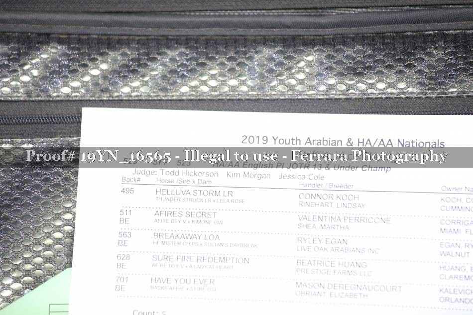 Proof 19YN_16565