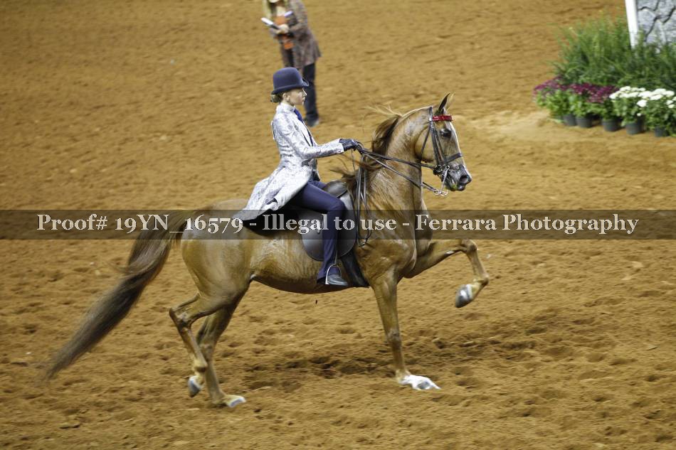 Proof 19YN_16579