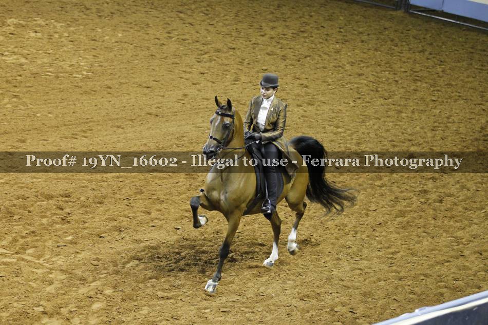 Proof 19YN_16602