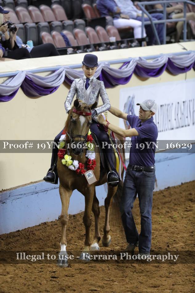 Proof 19YN_16629