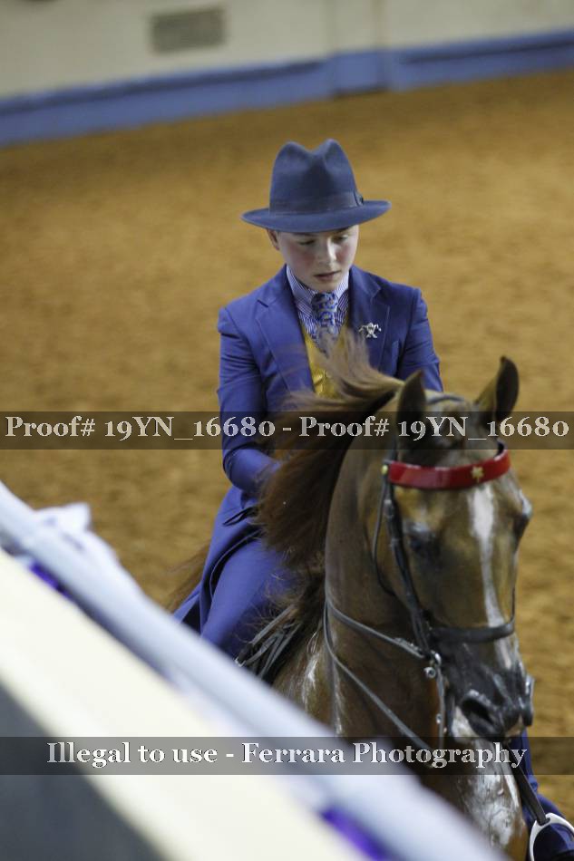Proof 19YN_16680