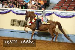 19YN_16687 proof
