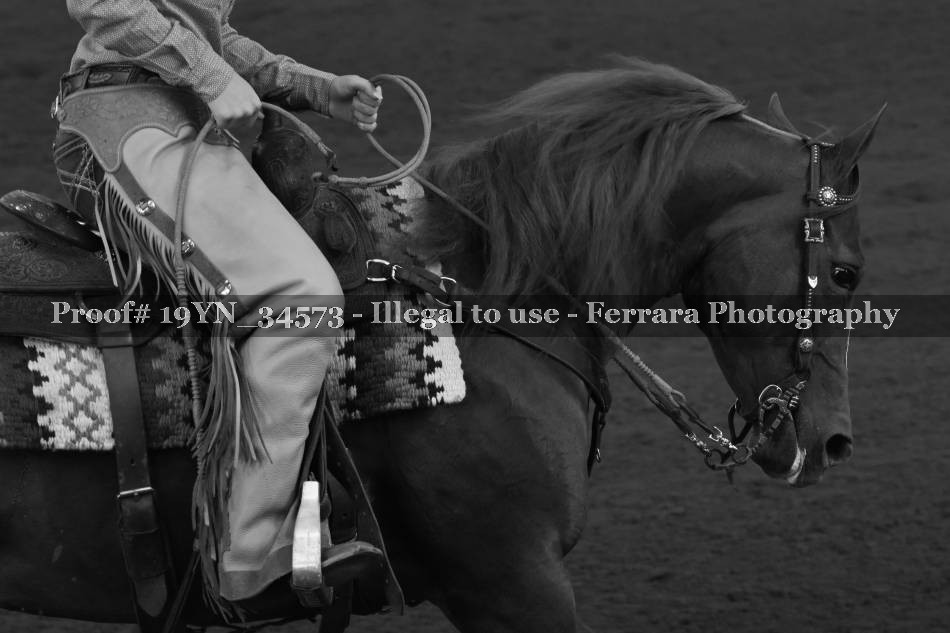 Proof 19YN_34573