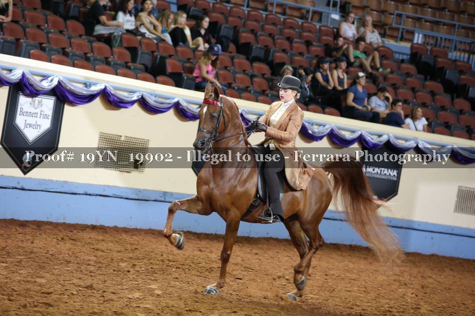 Proof 19YN_19902